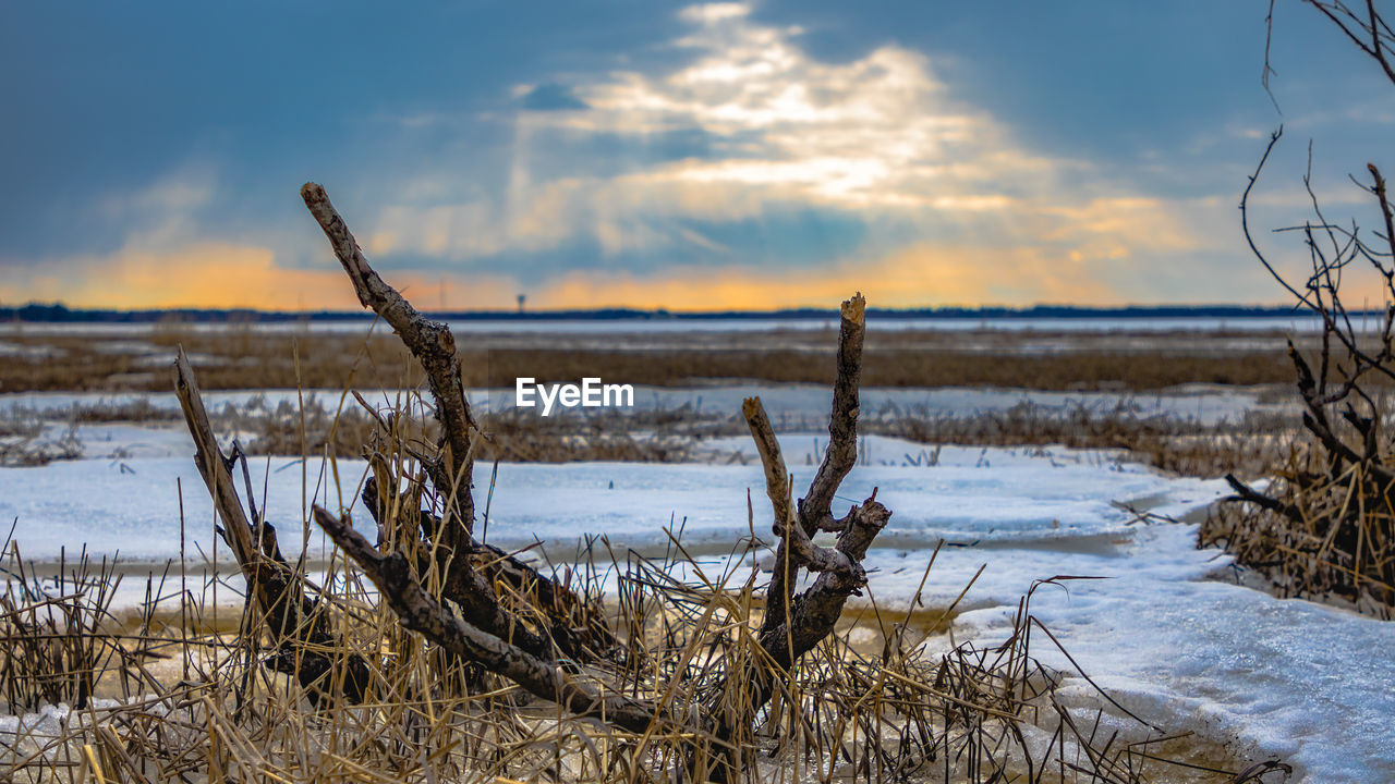 Close-up of snow on shore against sky during sunset