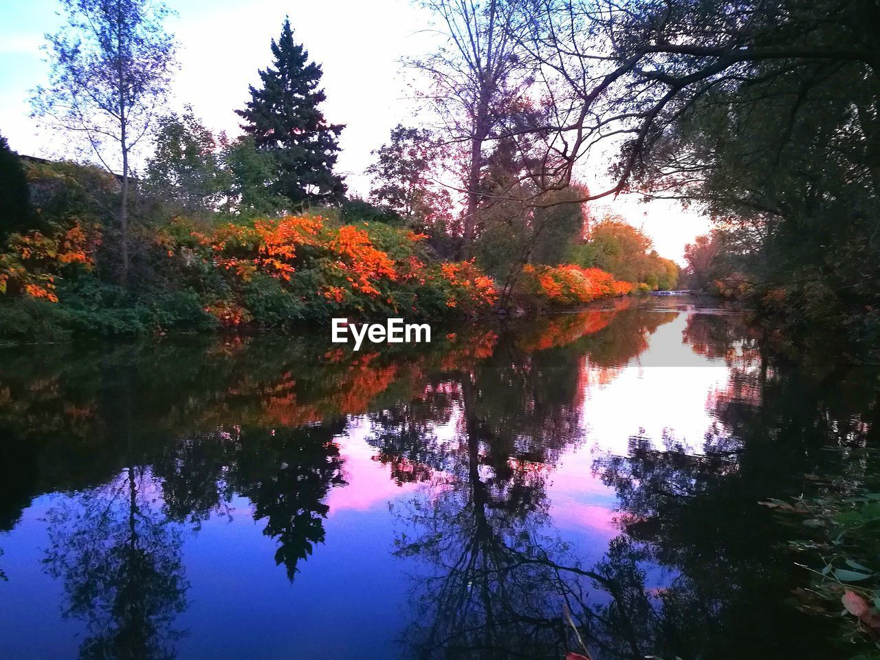 REFLECTION OF TREES IN LAKE DURING AUTUMN