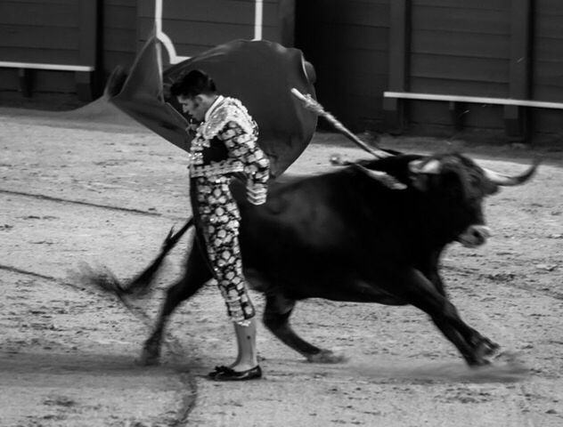 FULL LENGTH OF YOUNG WOMAN IN STABLE