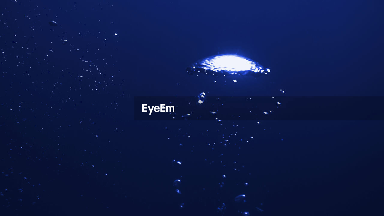 LOW ANGLE VIEW OF ILLUMINATED JELLYFISH IN SEA