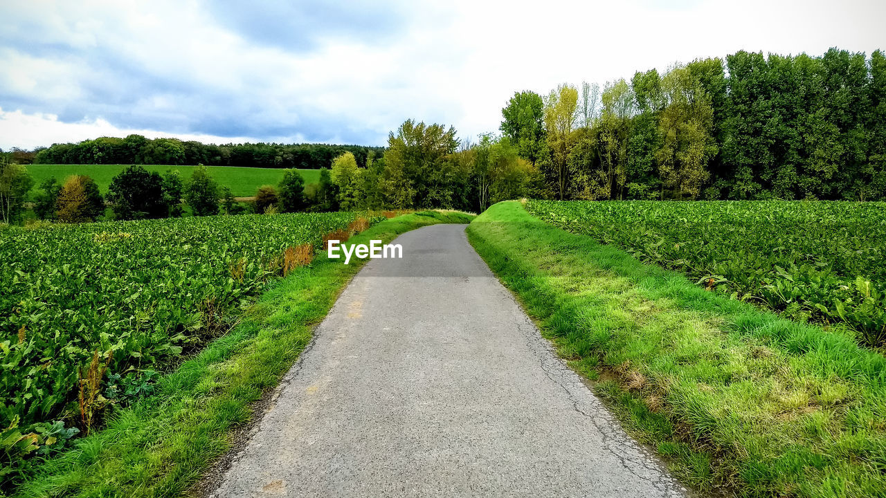 Dirt road along trees on field against sky