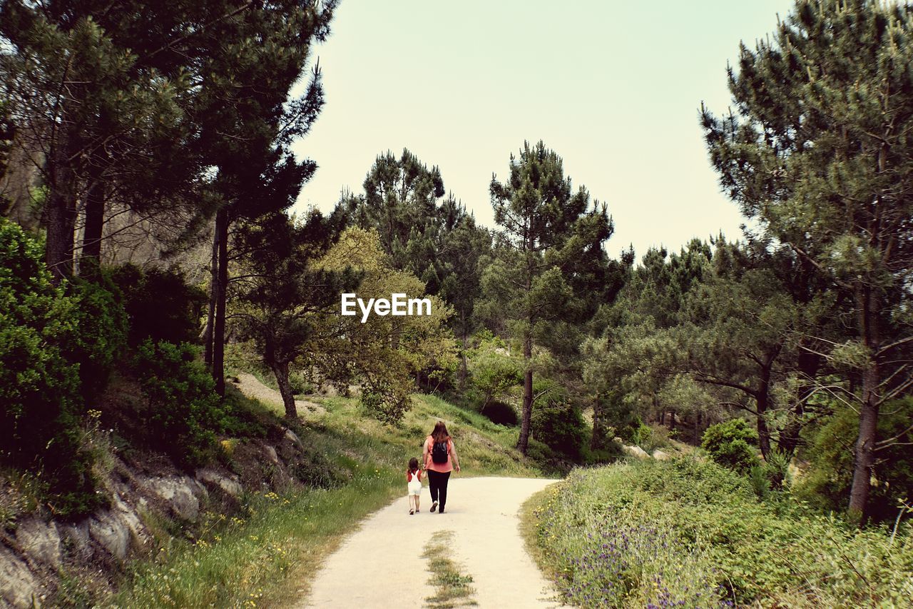 Rear view of mother with daughter walking on footpath amidst trees in forest