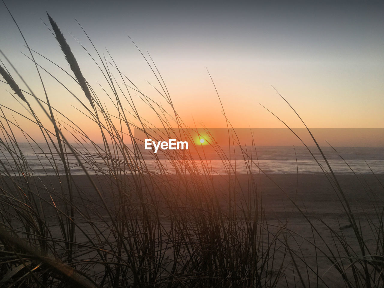 SCENIC VIEW OF SUNSET OVER SEA