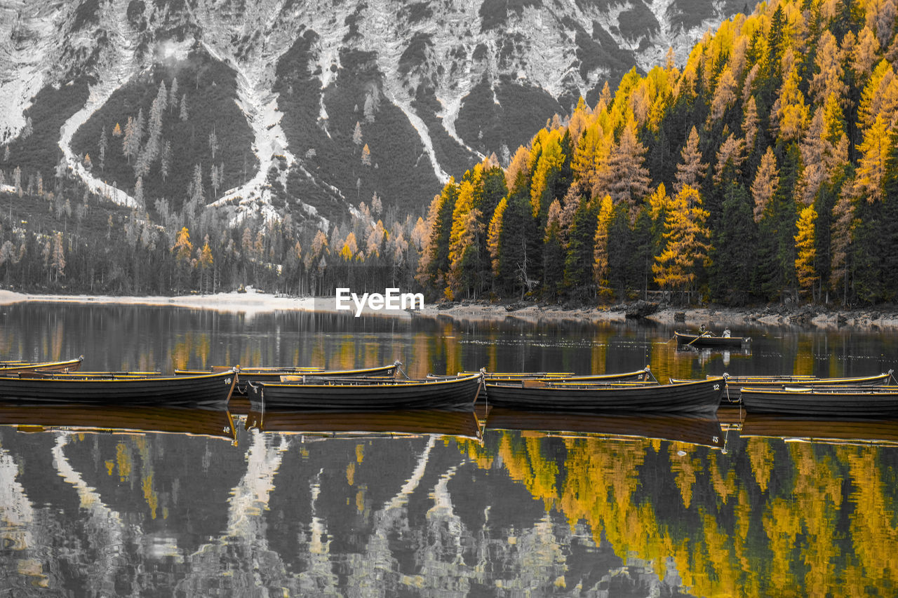 SCENIC VIEW OF LAKE WITH TREES IN BACKGROUND