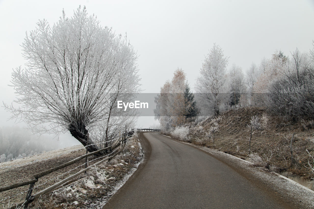 ROAD AMIDST BARE TREES AGAINST SKY