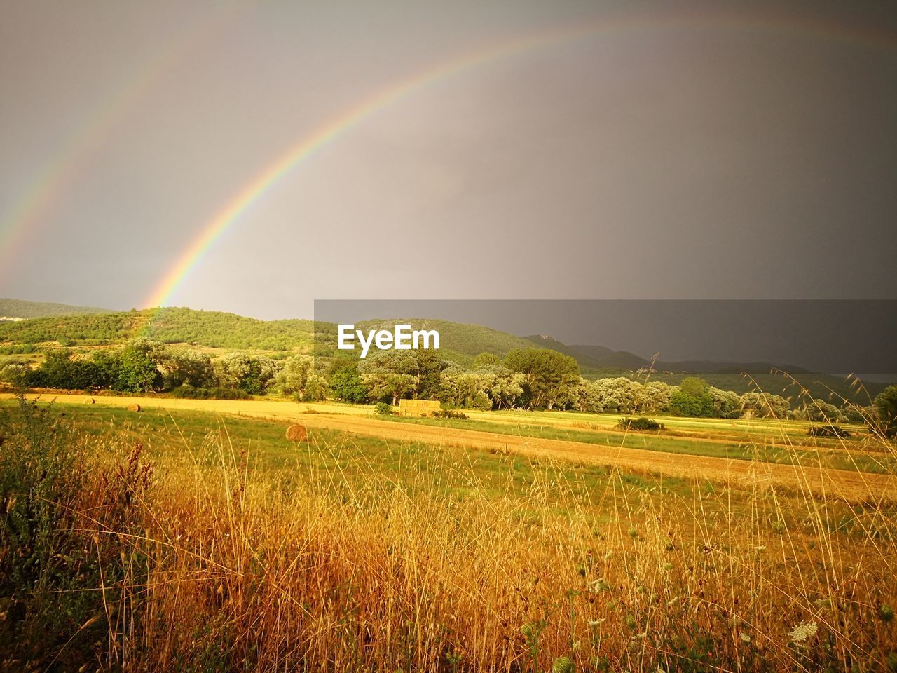 SCENIC VIEW OF RAINBOW OVER AGRICULTURAL FIELD