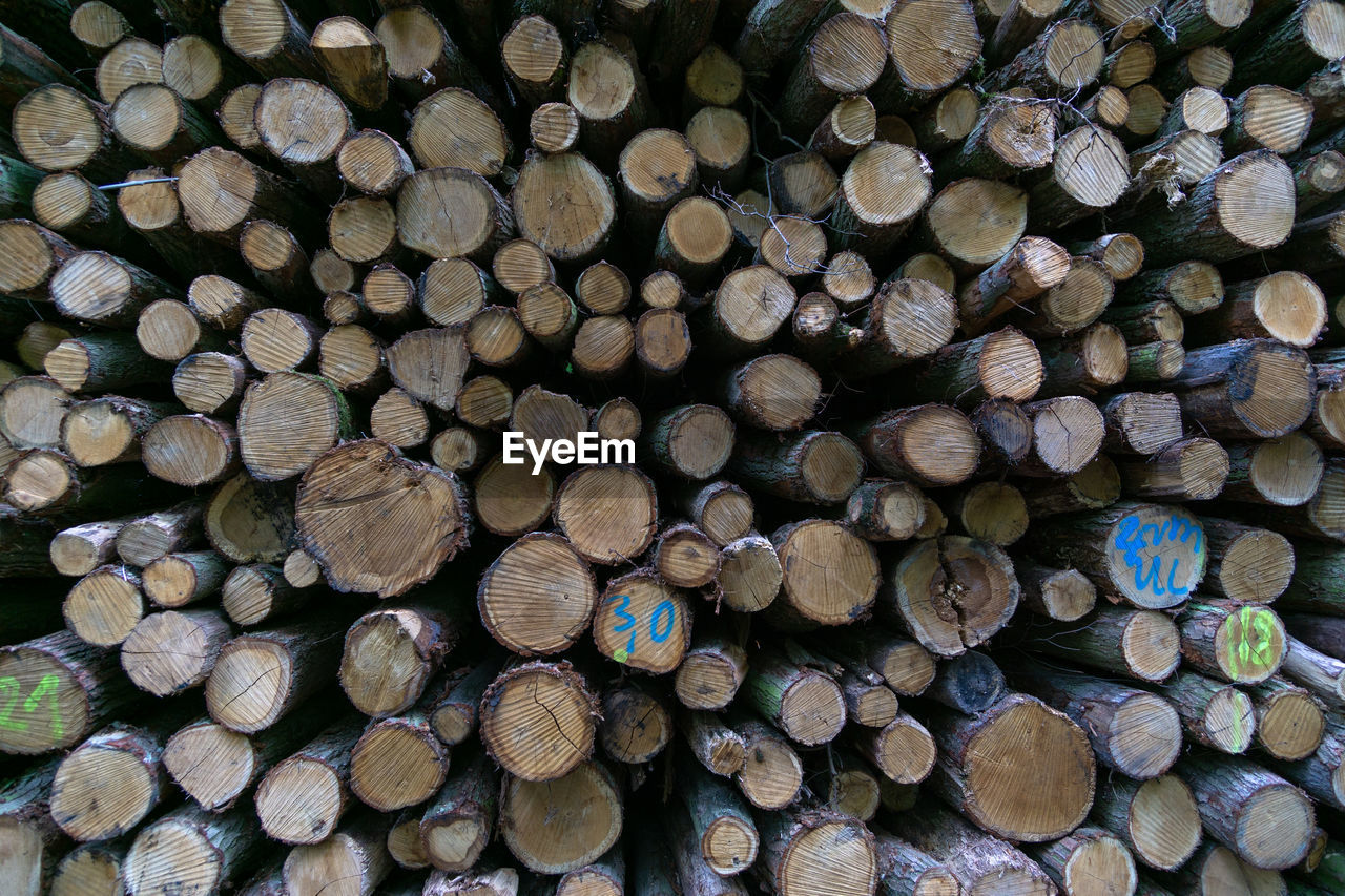 Full frame shot of logs in forest