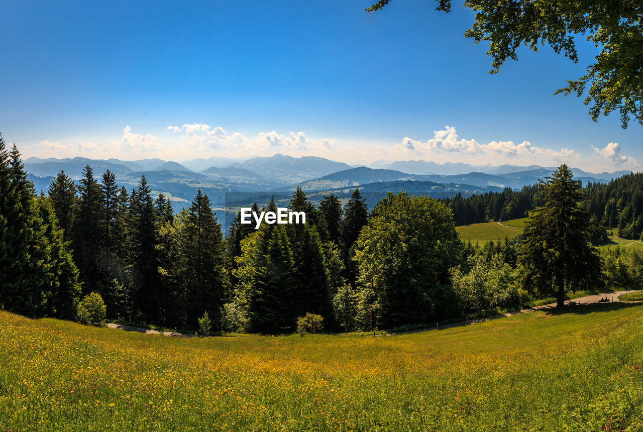 SCENIC VIEW OF LAND AGAINST SKY