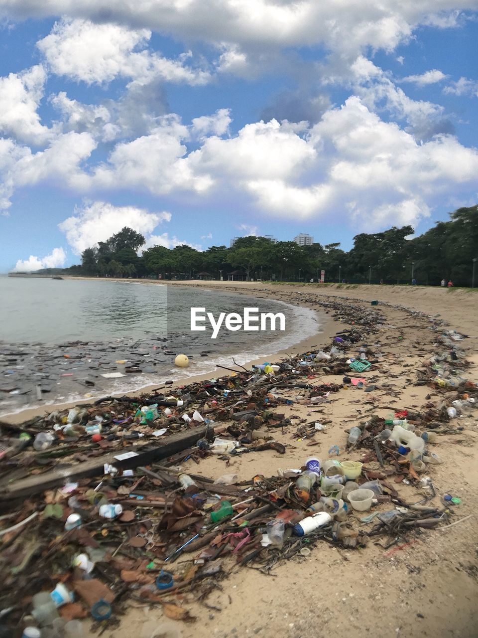 SCENIC VIEW OF BEACH