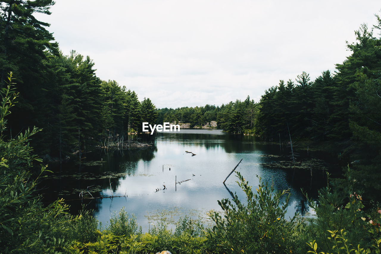 SCENIC VIEW OF LAKE BY TREES AGAINST SKY