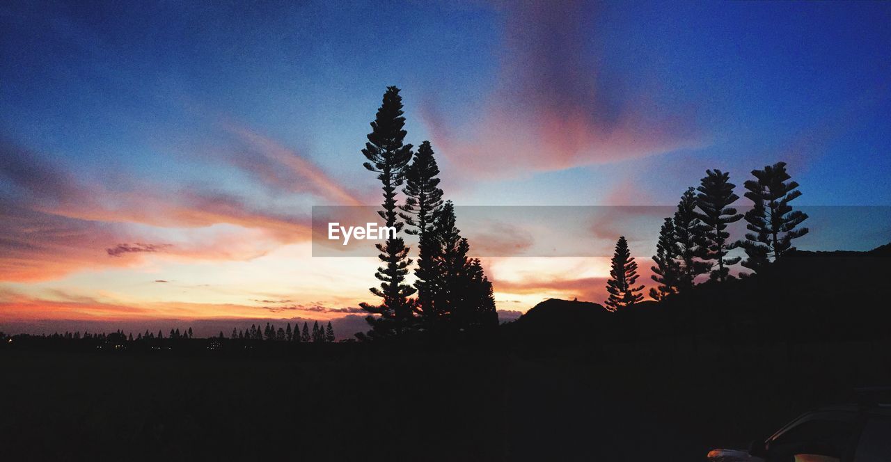 SILHOUETTE TREES AGAINST SKY AT SUNSET