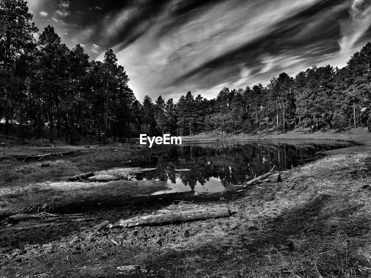 LAKE AND TREES AGAINST SKY