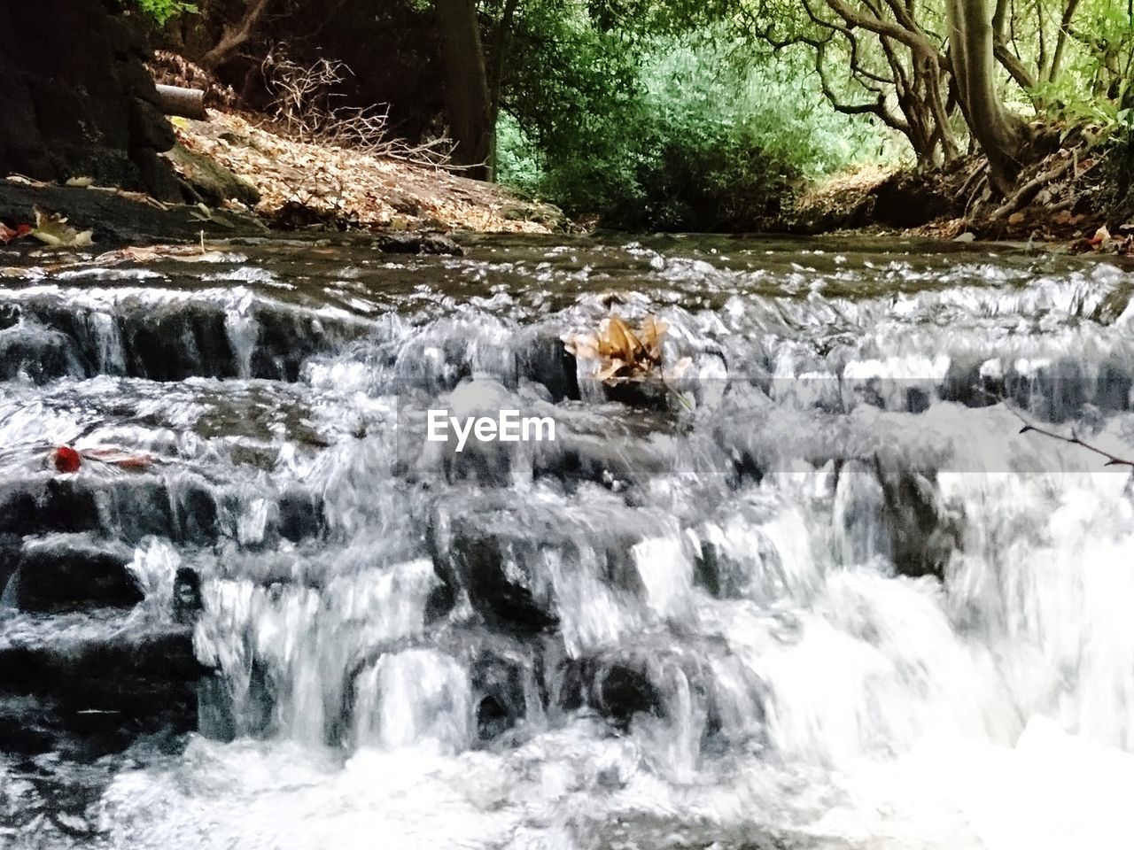 SCENIC VIEW OF WATERFALL