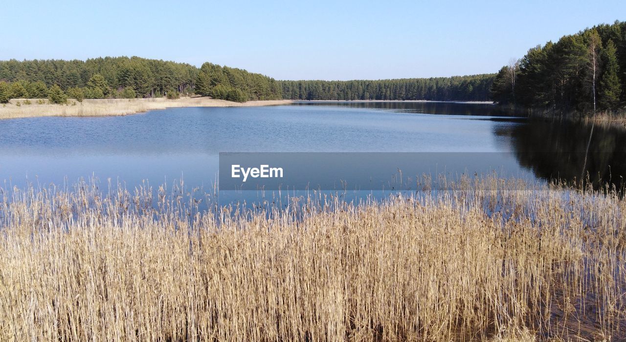 Scenic view of lake against clear sky