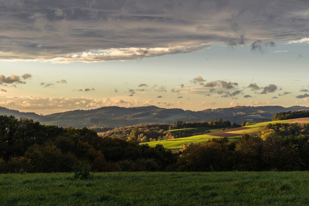 Hilly landscape at sunset