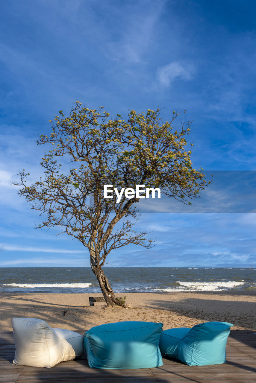 A tree and beach umbrellas and beach chairs against a blue background