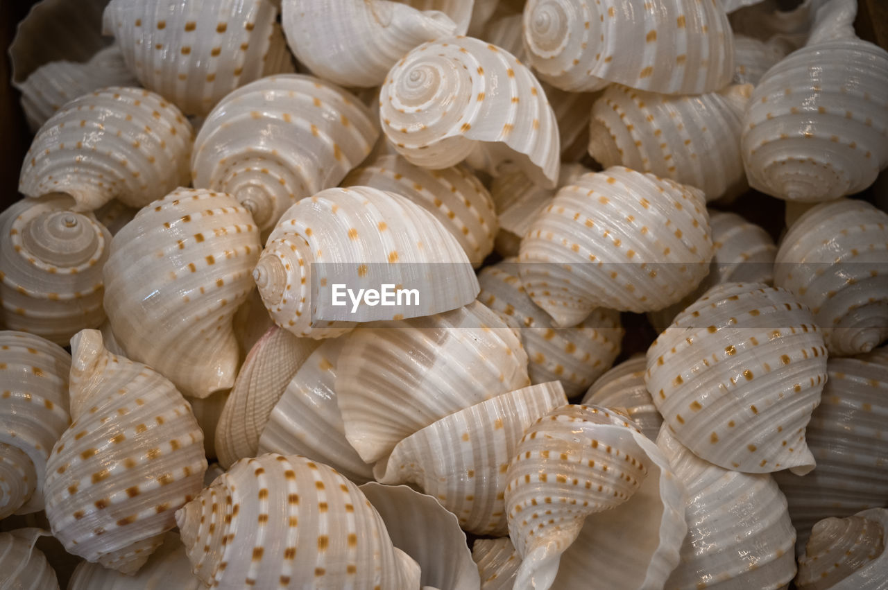 FULL FRAME SHOT OF ONIONS IN MARKET