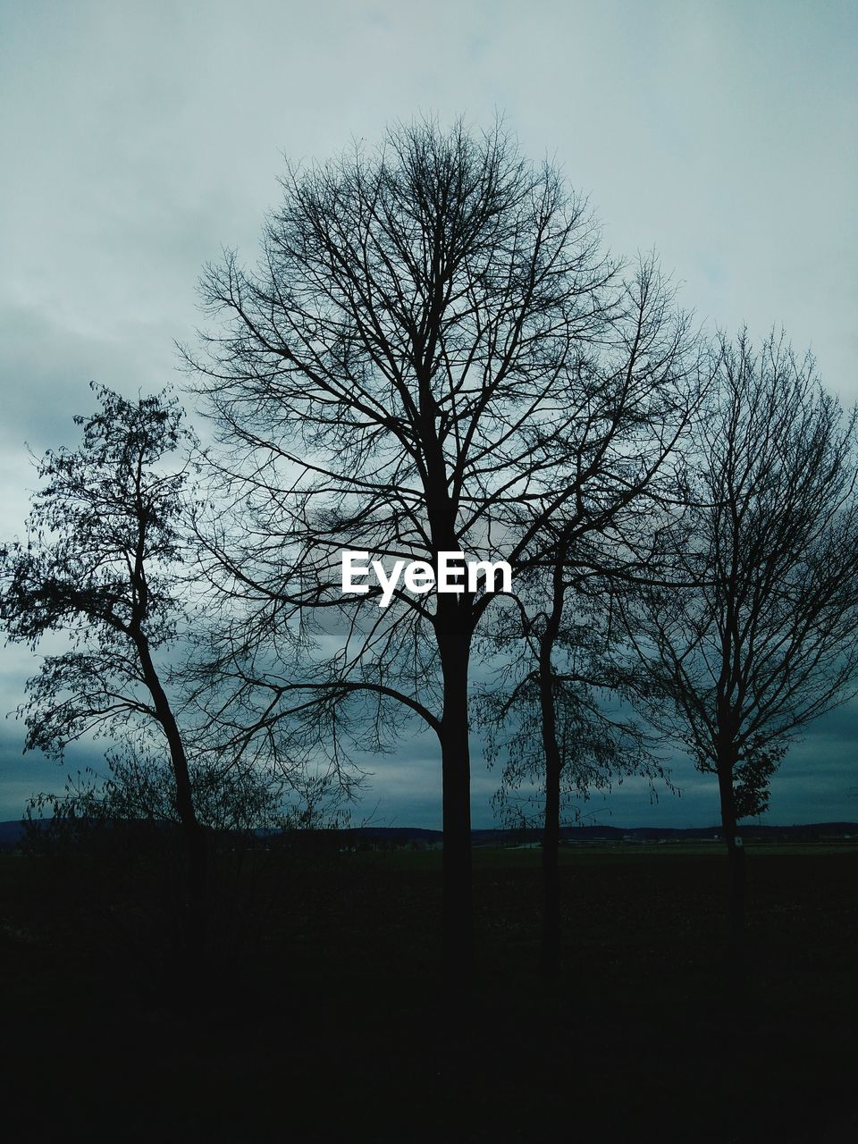 BARE TREES ON LANDSCAPE AGAINST THE SKY