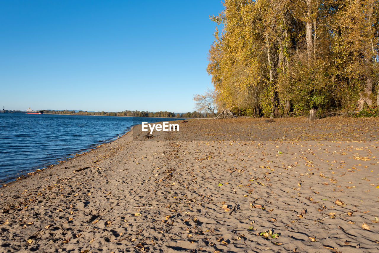 Surface level of pebble beach against clear sky