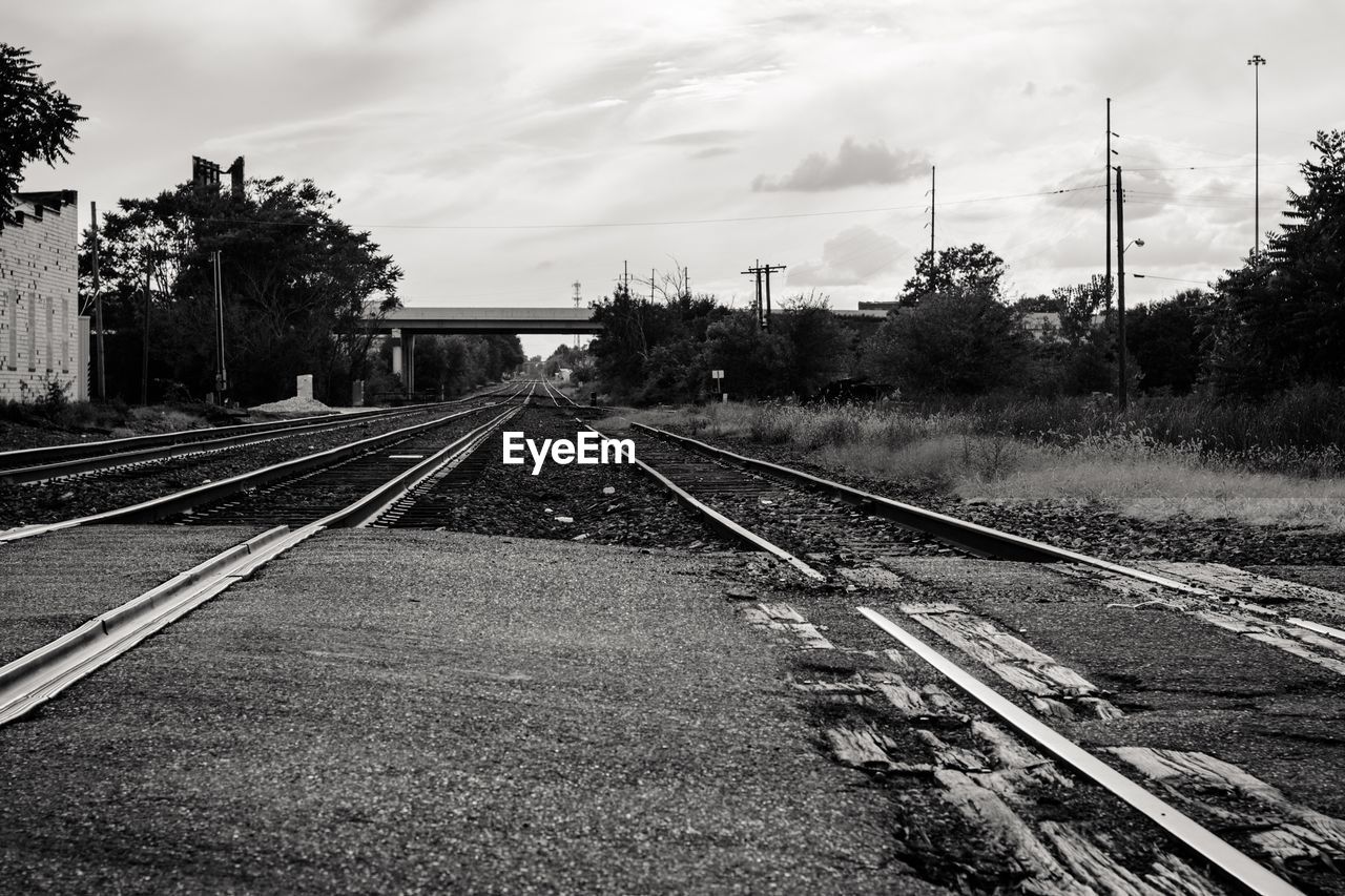RAILROAD TRACKS BY PLANTS AGAINST SKY