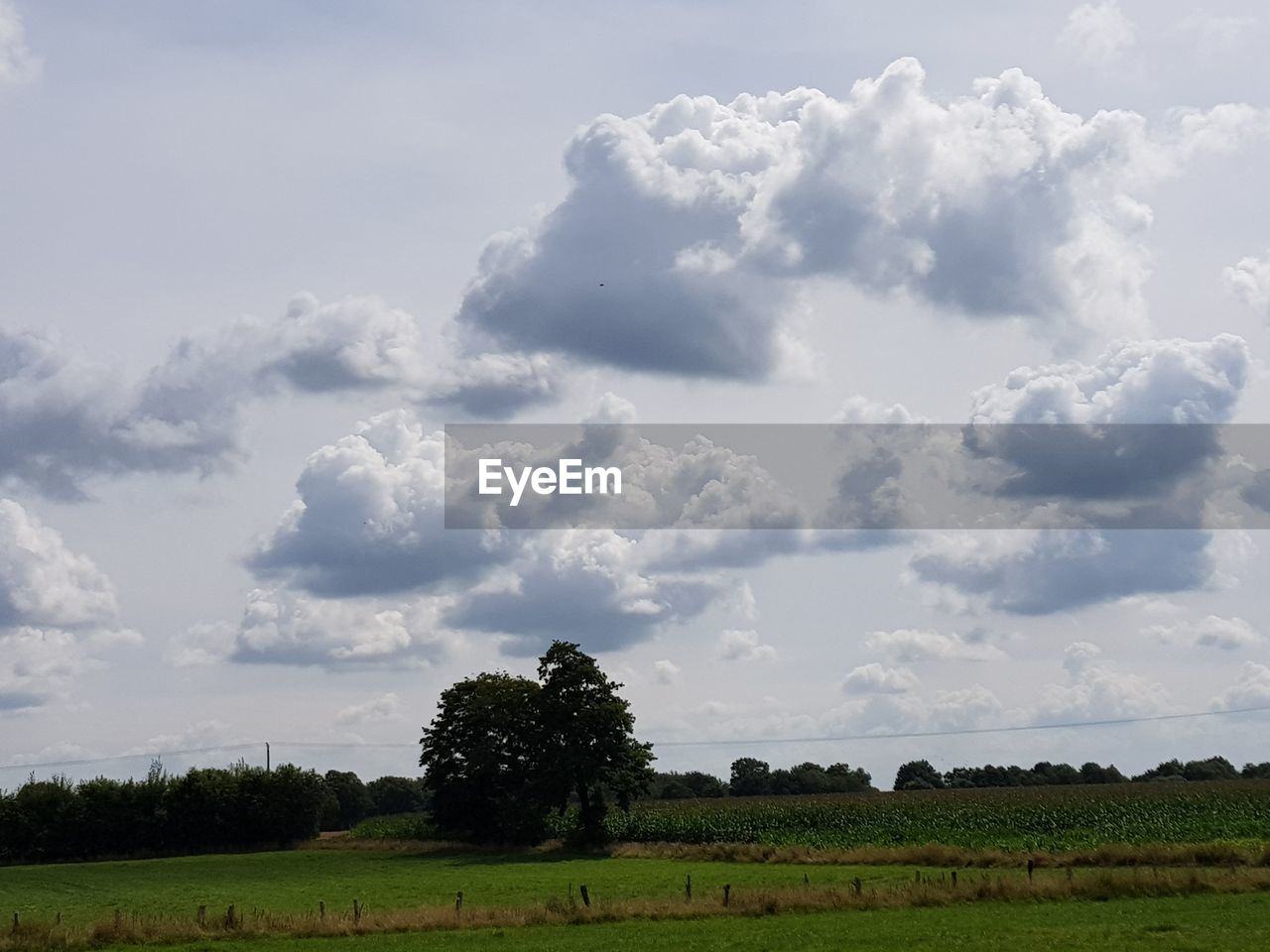 SCENIC VIEW OF LAND AGAINST SKY