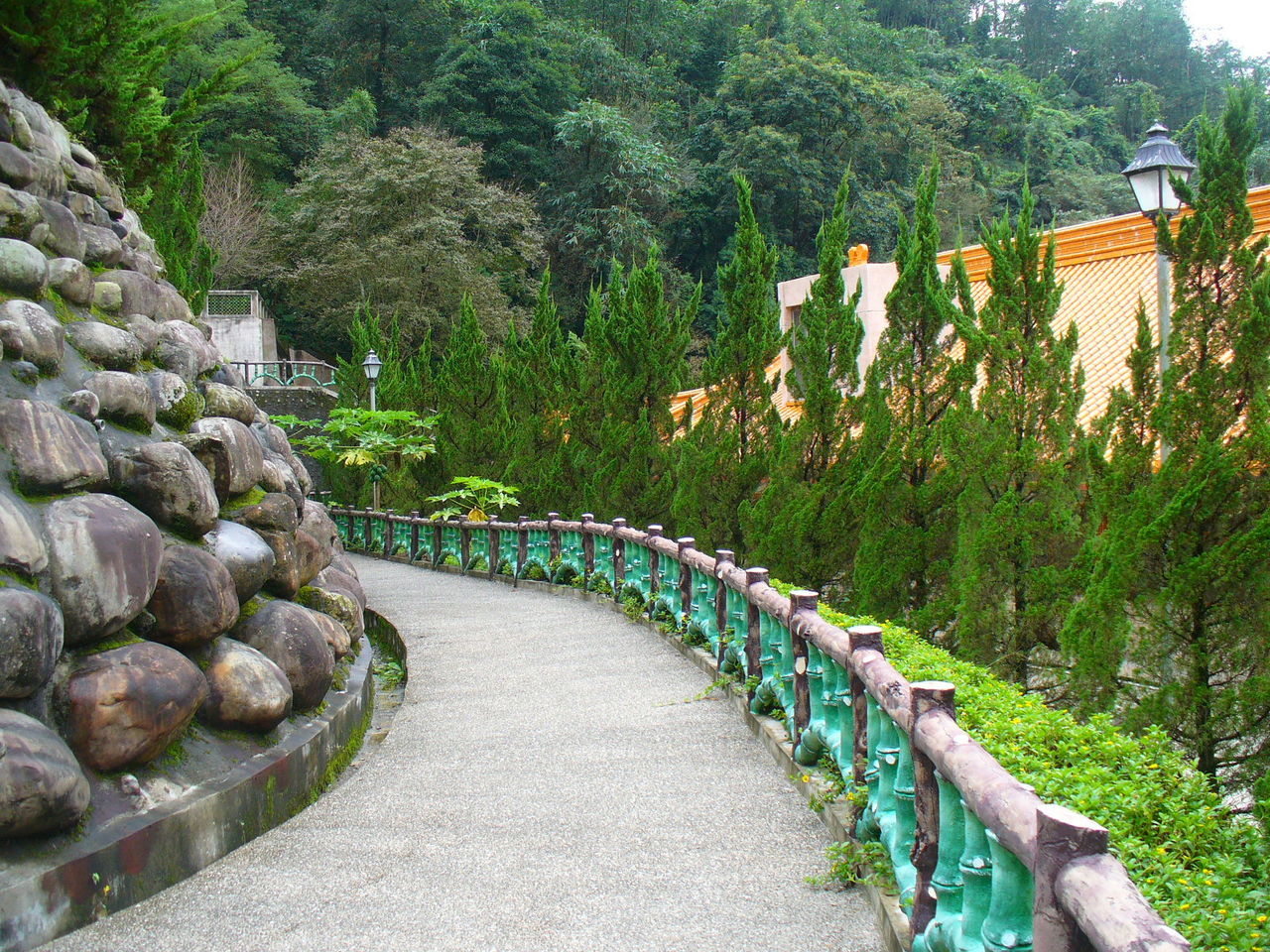 WALKWAY AMIDST PLANTS AGAINST SKY