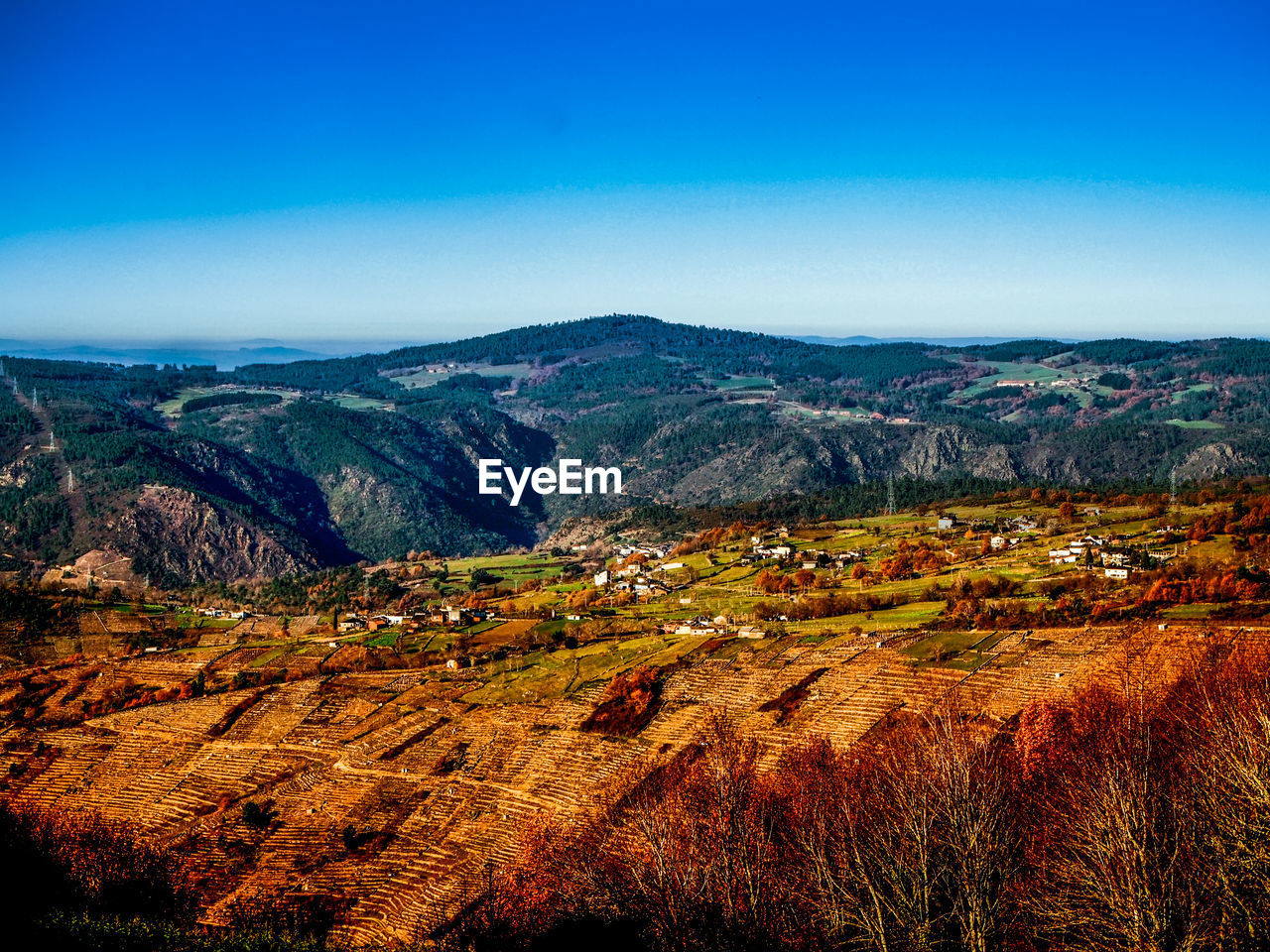 Scenic view of field against blue sky