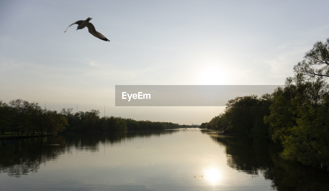 BIRDS FLYING OVER LAKE AGAINST SKY