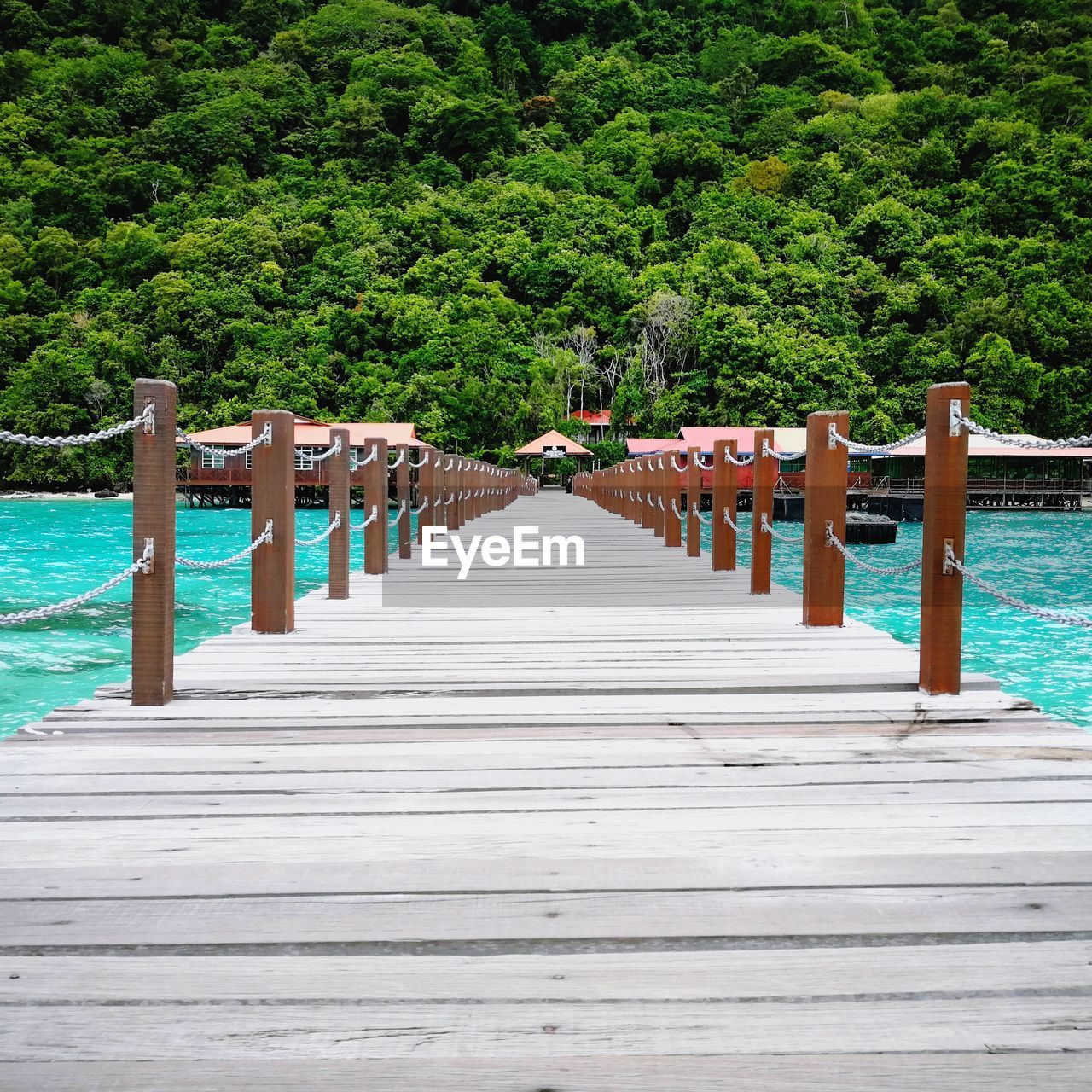 WOODEN PIER AMIDST TREES