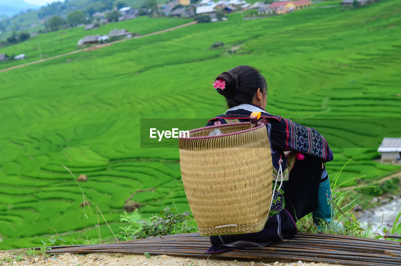 Rear view of woman with basket sitting against terraced field
