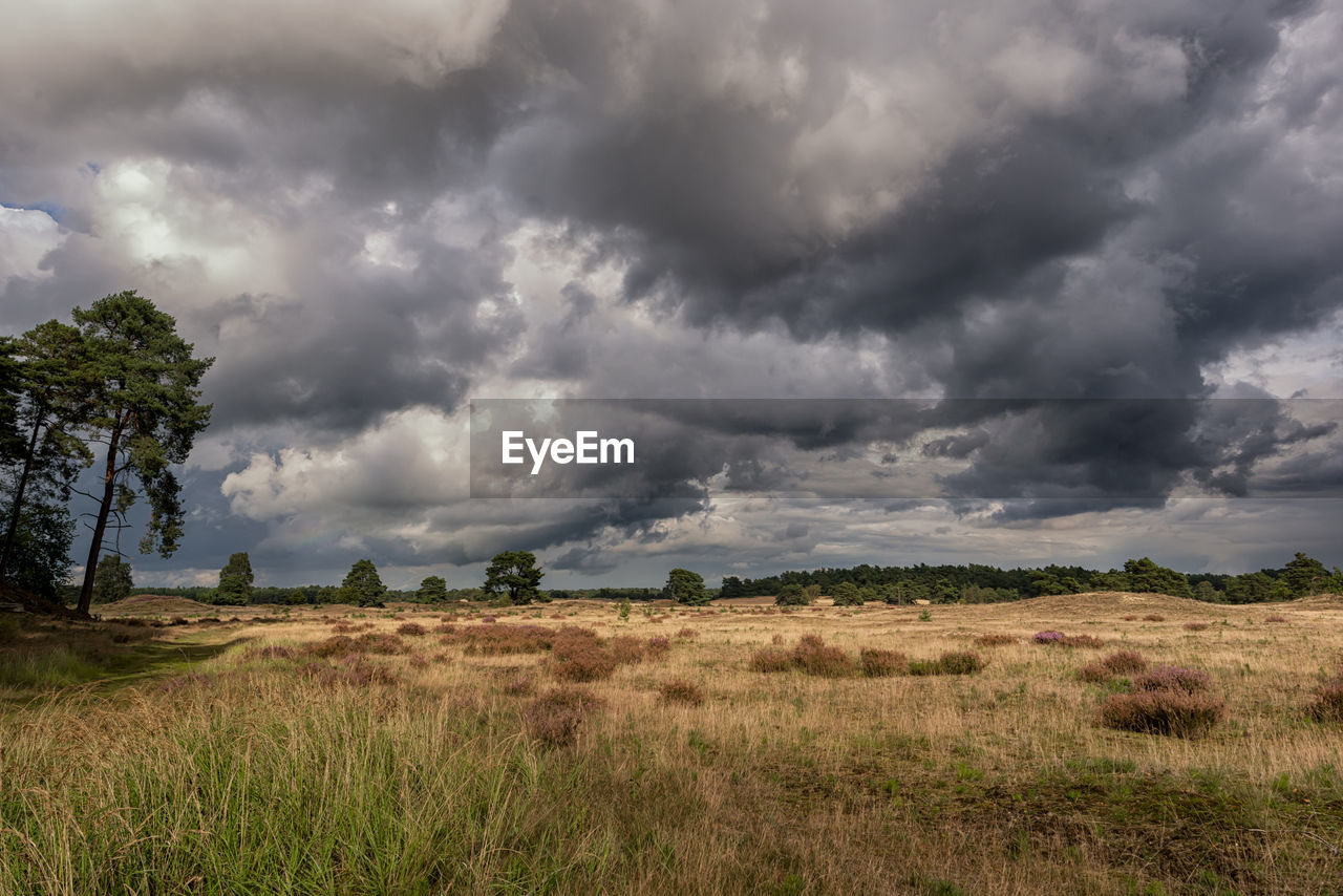 VIEW OF STORM CLOUDS OVER FIELD