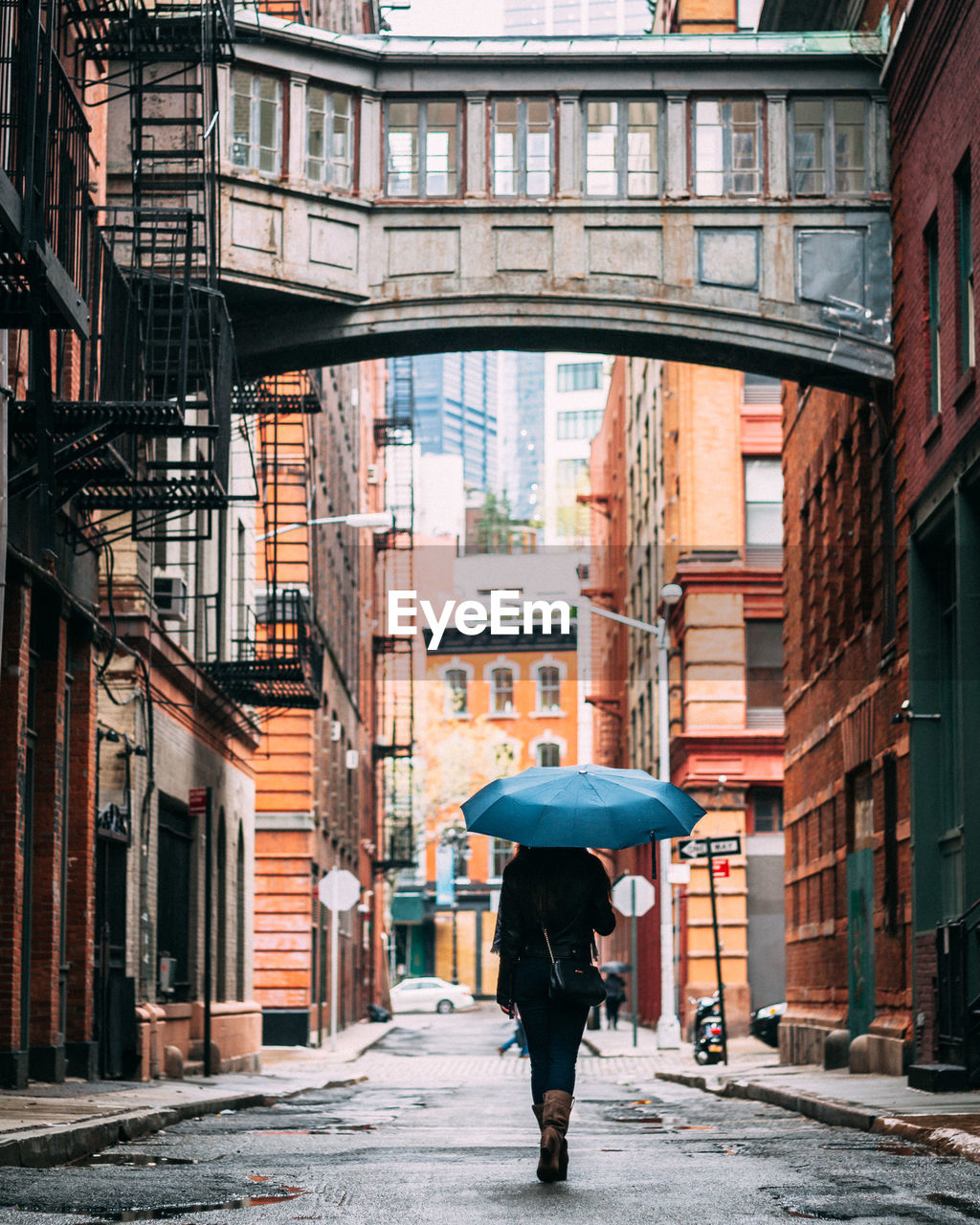 Rear view of woman carrying umbrella while walking on street