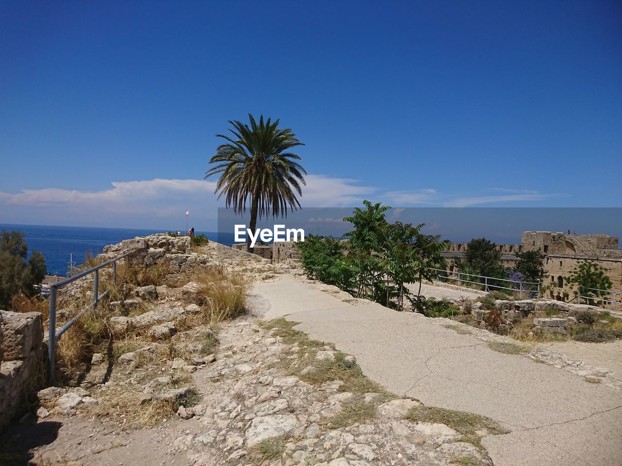 SCENIC VIEW OF PALM TREES BY SEA AGAINST SKY