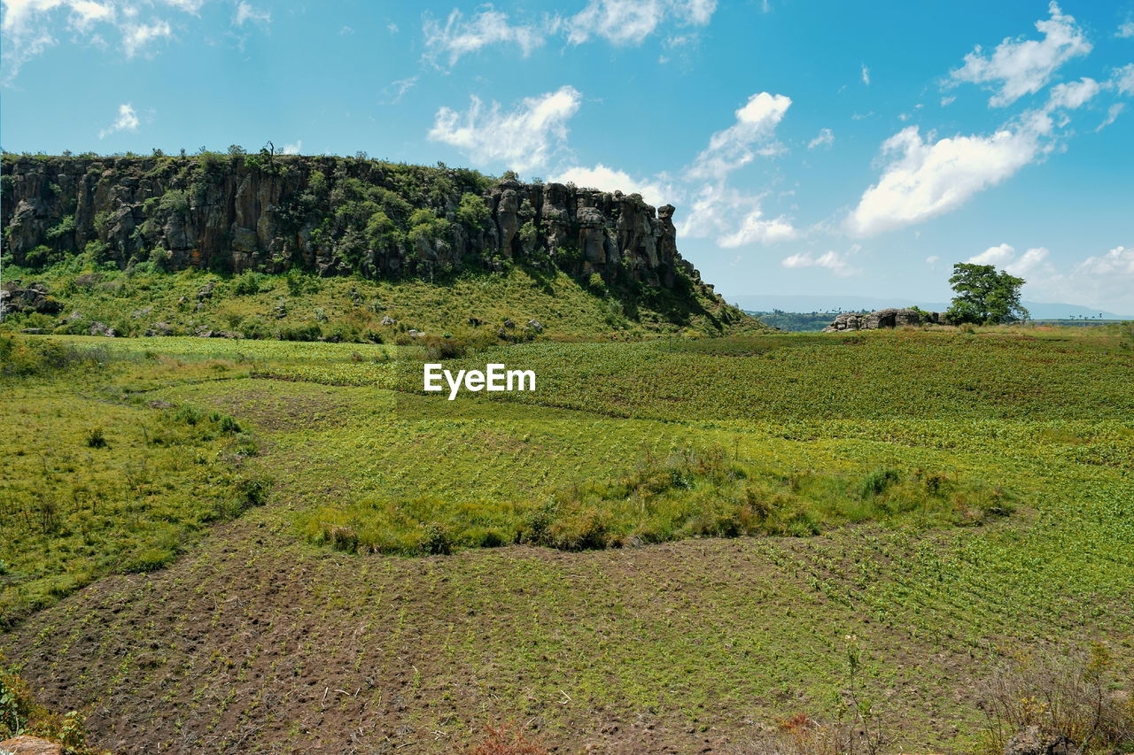 Agricultural landscapes against a mountain background in rural kenya,  naivasha, kenya