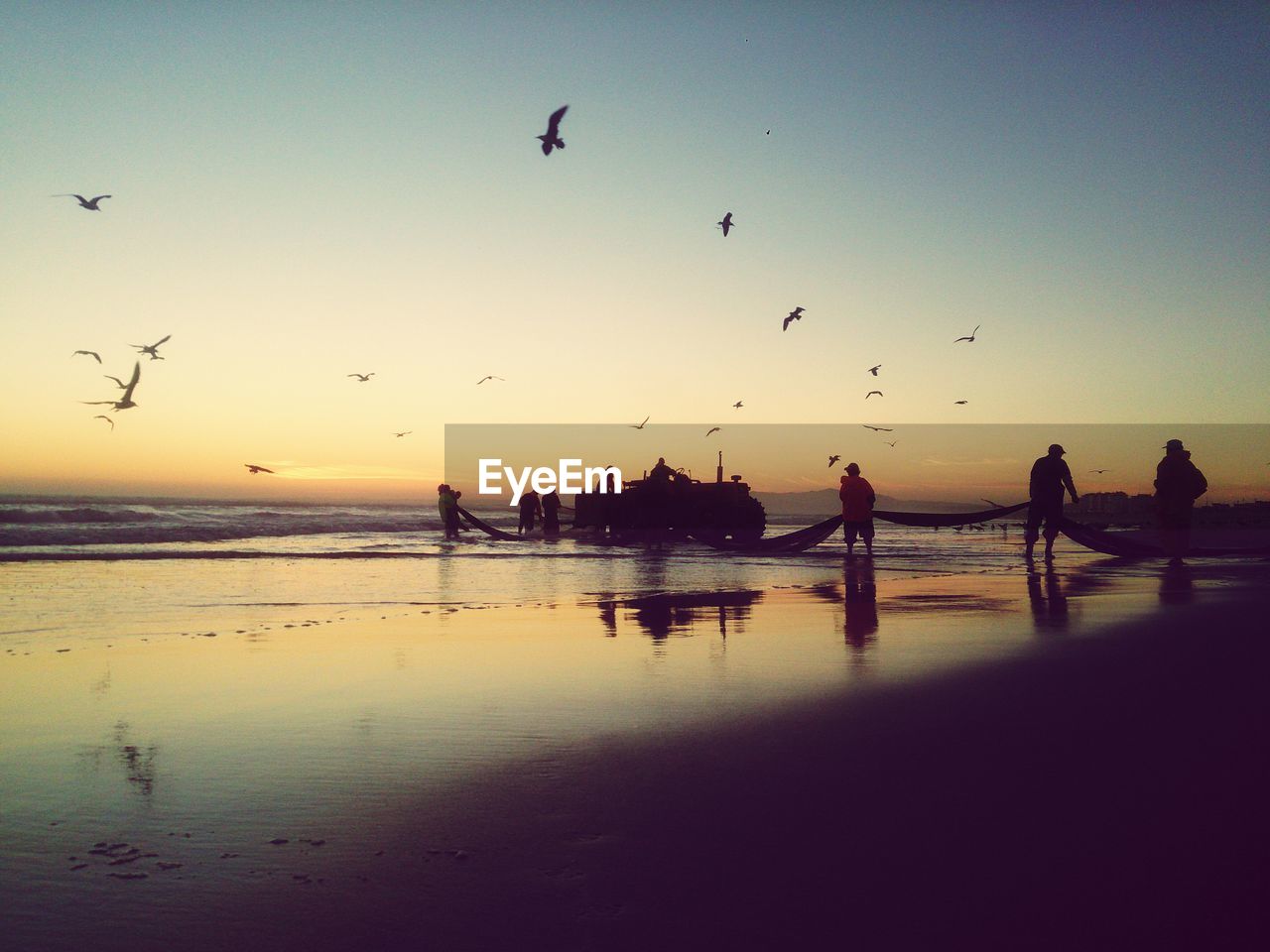 Fishermen working at beach during sunset