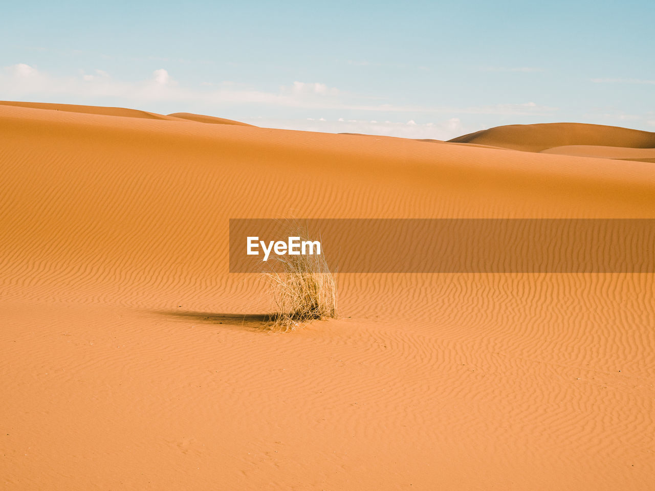 Sand dune in desert against sky