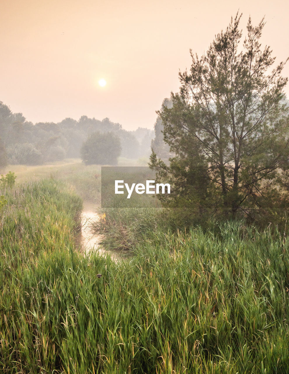 Scenic view of field against sky during sunset