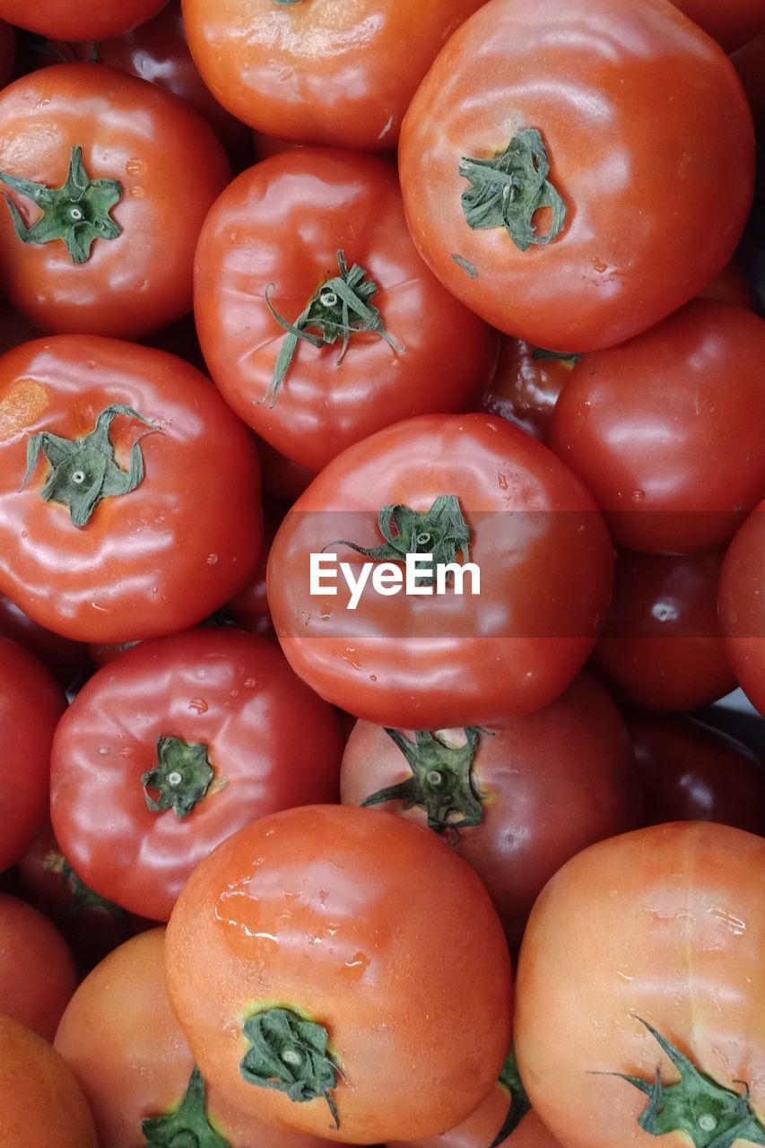 High angle view of tomatoes for sale at market