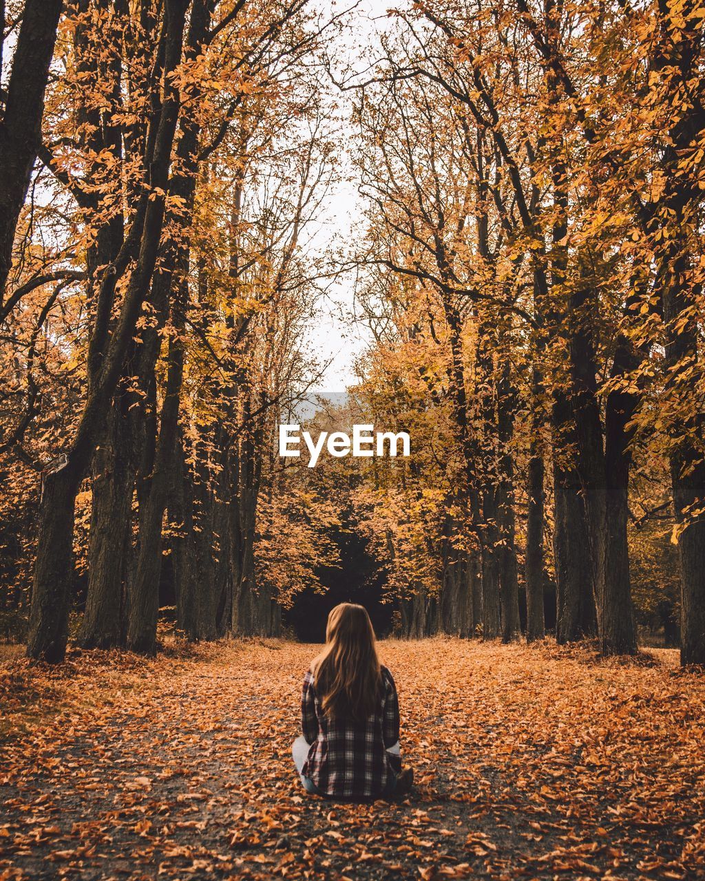 Rear view of woman sitting amidst trees during autumn