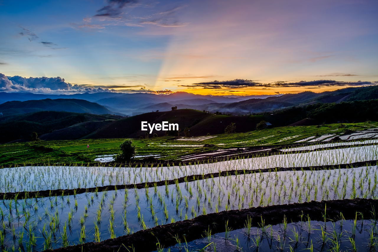 Scenic view of field against sky during sunset