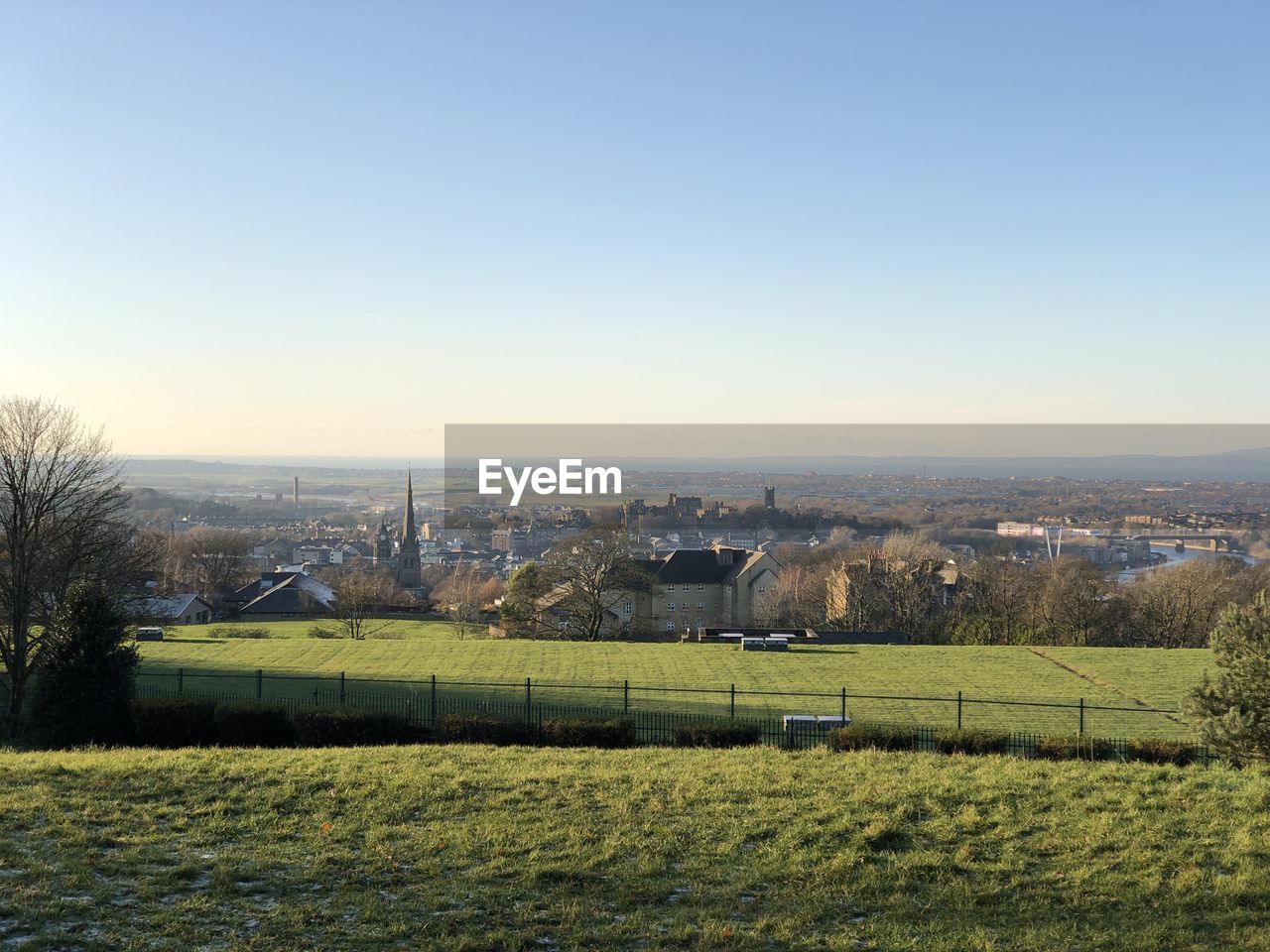 Scenic view of field against clear sky