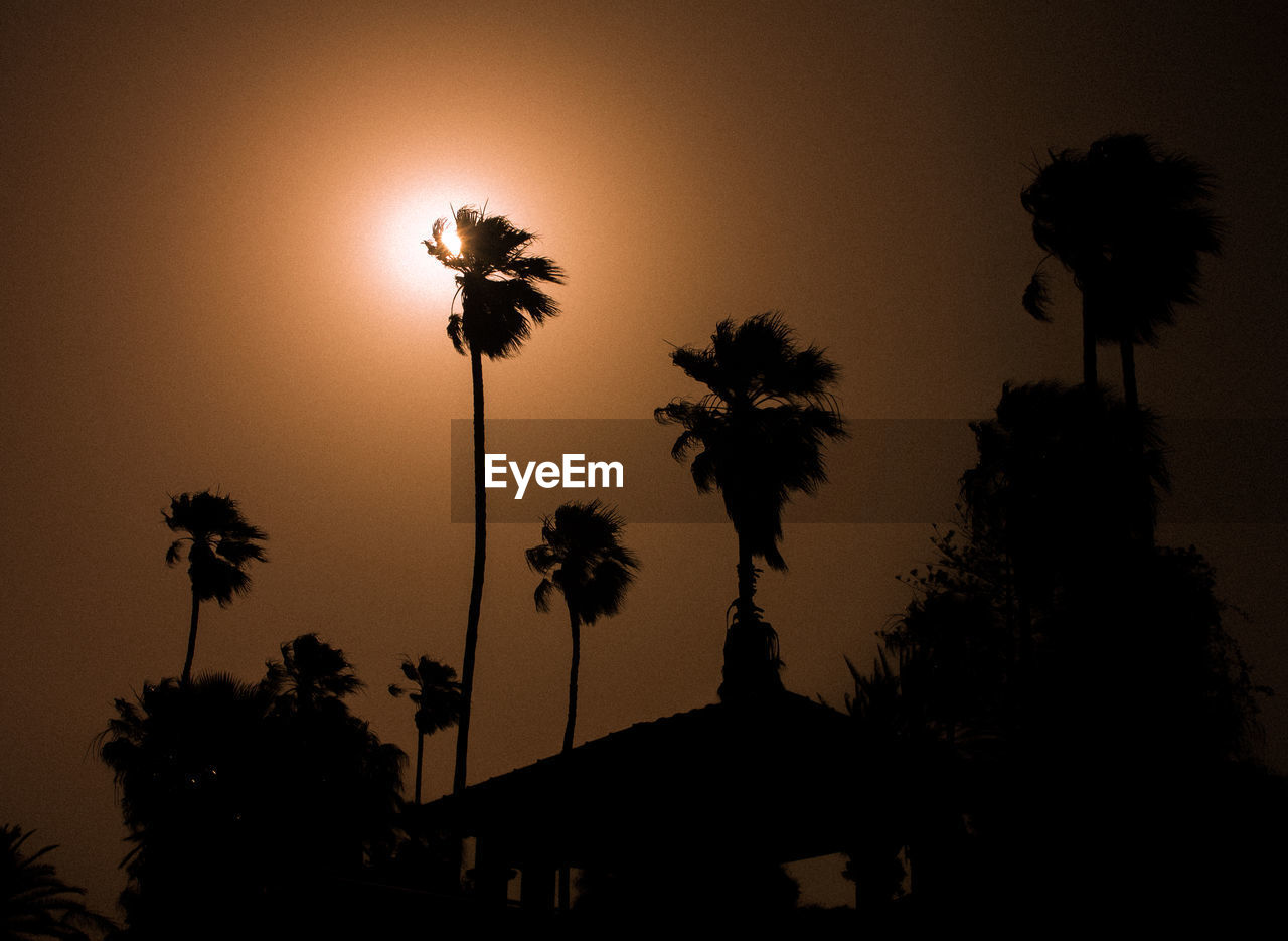 SILHOUETTE PALM TREES AGAINST SKY DURING SUNSET