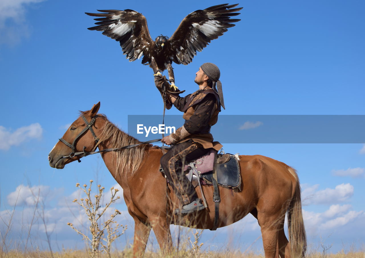 Low angle view of man with golden eagle sitting on horse