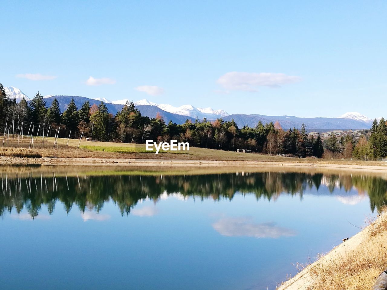 REFLECTION OF TREES IN LAKE