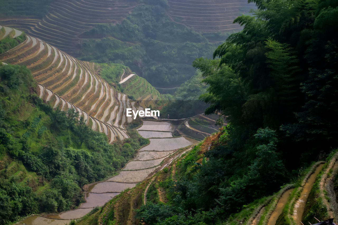 High angle view of agricultural landscape