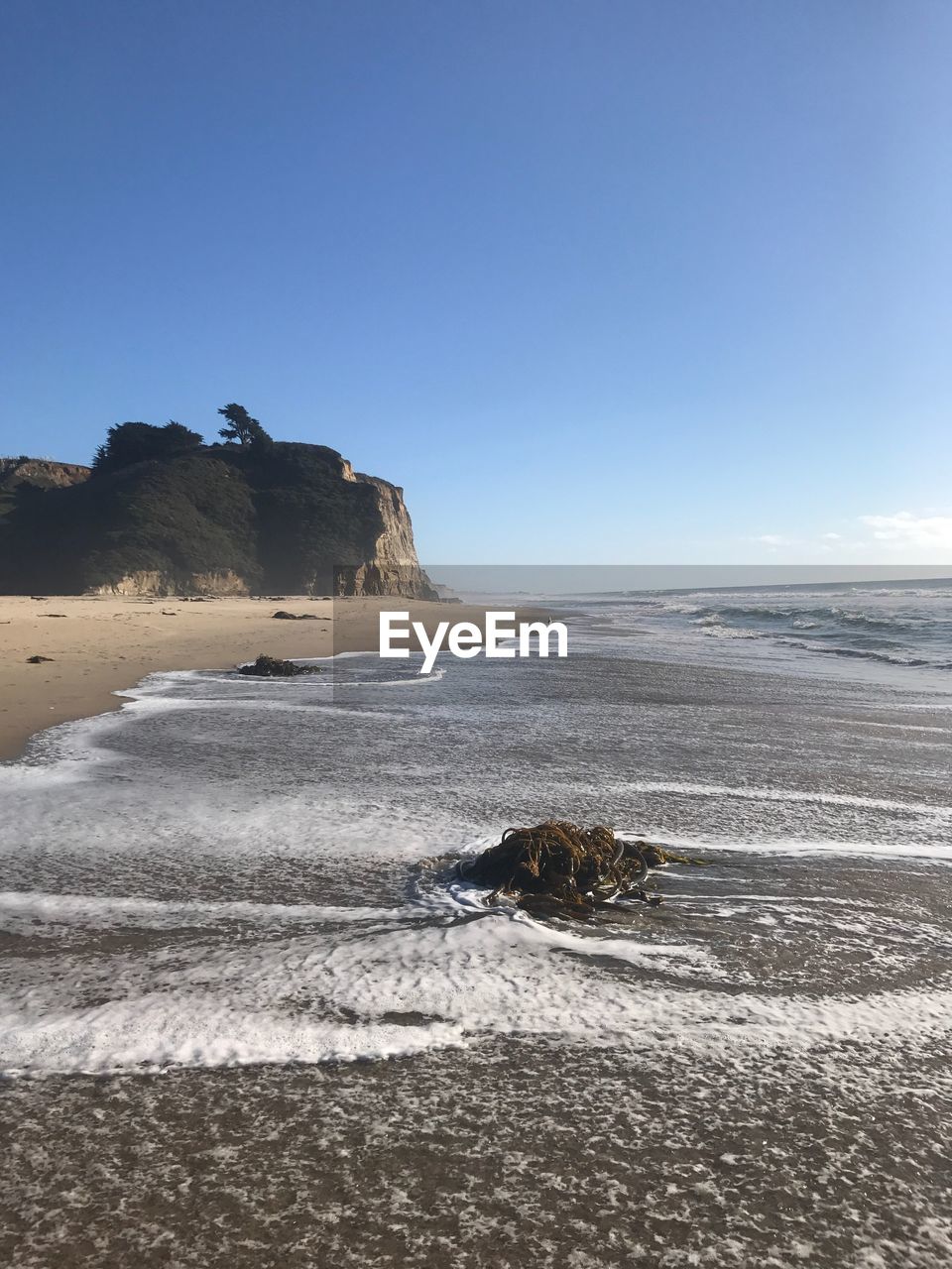 SCENIC VIEW OF BEACH AGAINST CLEAR SKY