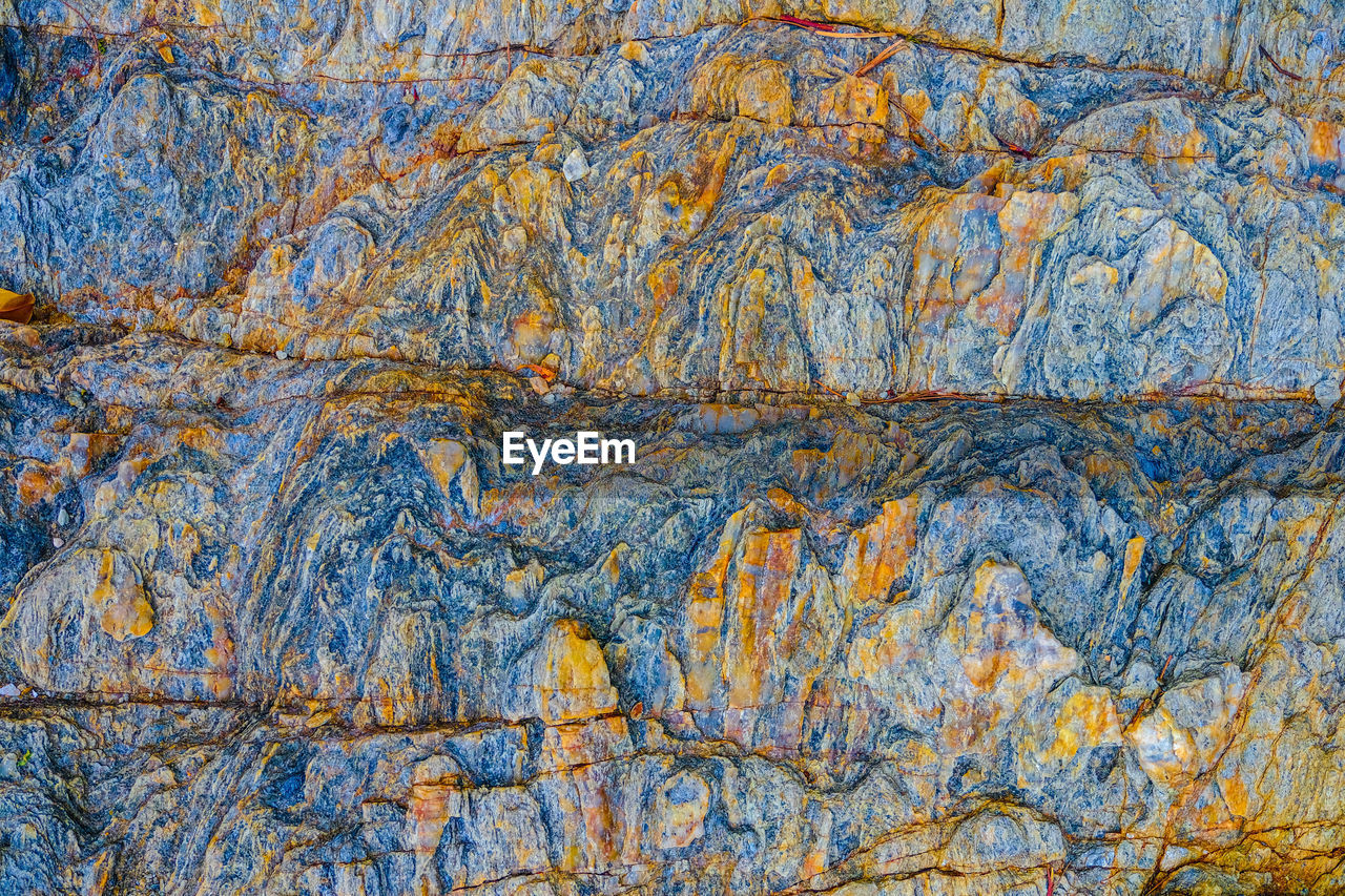 FULL FRAME SHOT OF TREE TRUNK WITH ROCKS