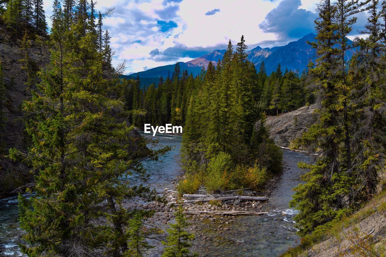 Lake amidst mountains at jasper national park