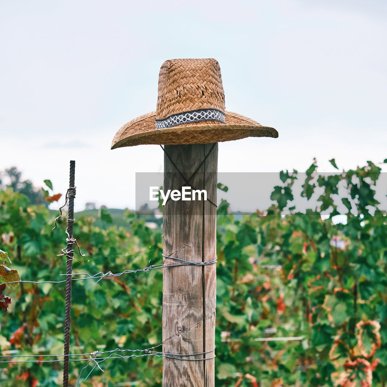 Close-up of wooden post on fence with a hat