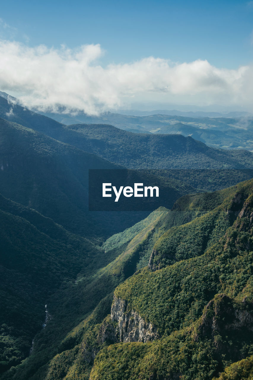 Fortaleza canyon with steep rocky cliffs covered by forest and fog, near cambará do sul, brazil.